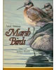North American Marsh Birds