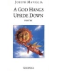A God Hangs Upside Down