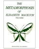 The Metamorphosis of Elisabeth Mackuch (Teacher)
