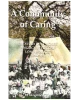 A Community of Caring: The Story of St. Agnes' Anglican Church, Long Branch 1919-2004