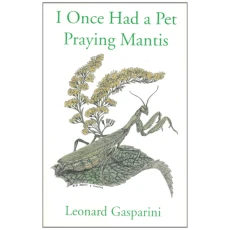 I Once had a Pet Praying Mantis