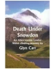 Death Under Snowdon