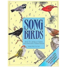 Songbirds: How to Attract Them and Identify Their Songs