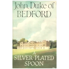 A Silver-Plated Spoon