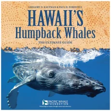 Hawaii's Humpback Whales: The Ultimate Guide
