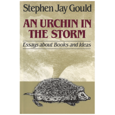 An Urchin in the Storm: Essays About Books and Ideas
